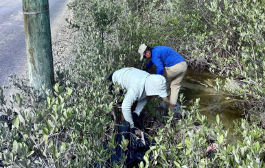 Litterbugs Face Two-Thousand-Dollar Fines