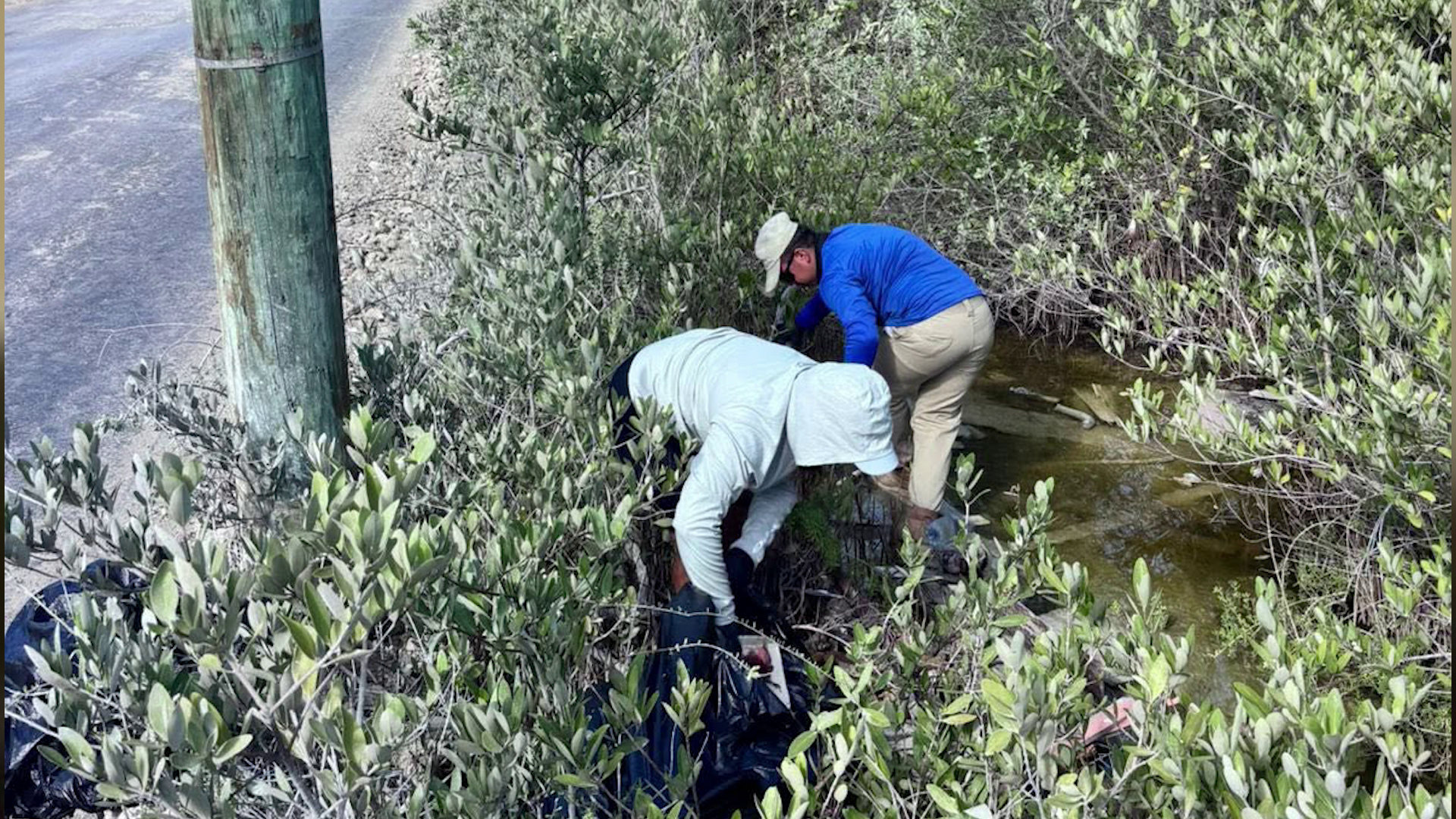 Litterbugs Face Two-Thousand-Dollar Fines