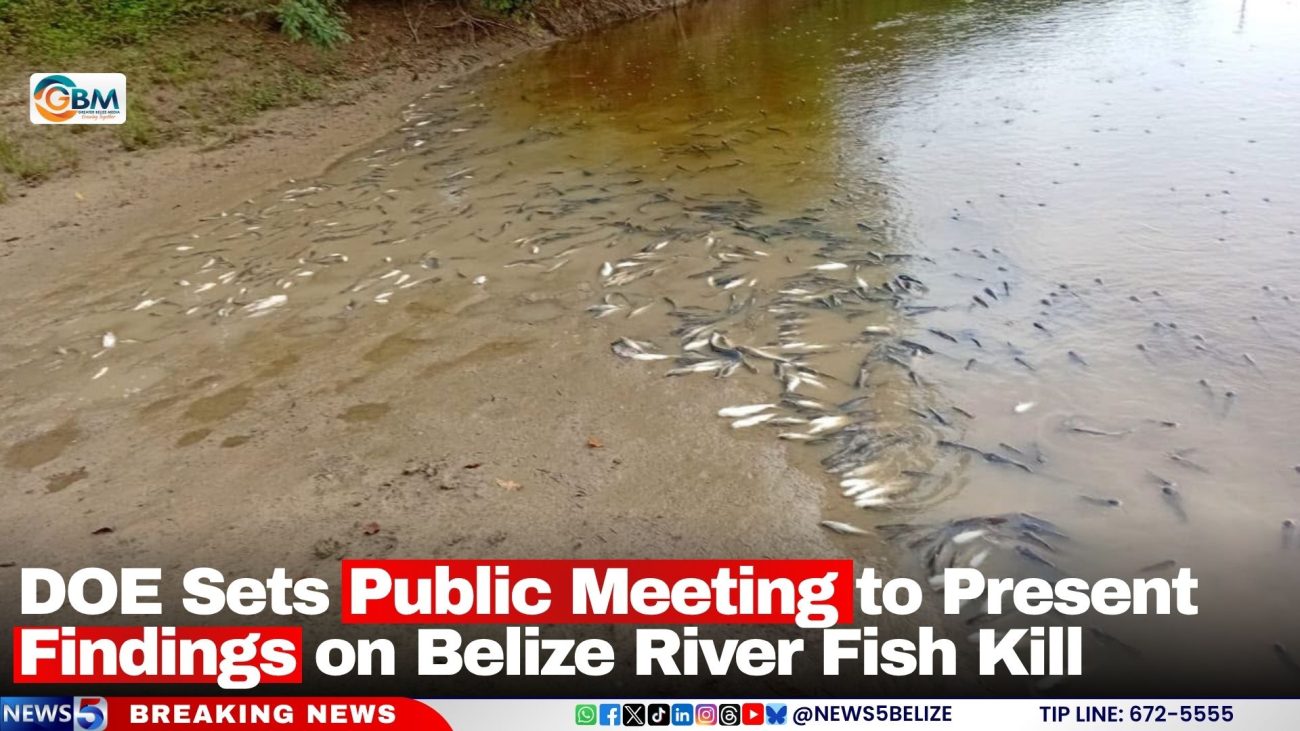 DOE Sets Public Meeting to Present Findings on Belize River Fish Kill