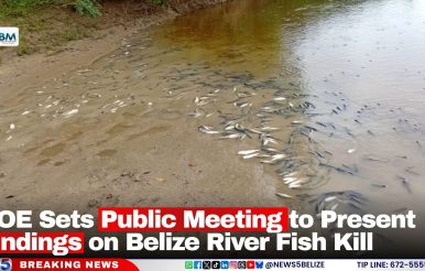DOE Sets Public Meeting to Present Findings on Belize River Fish Kill