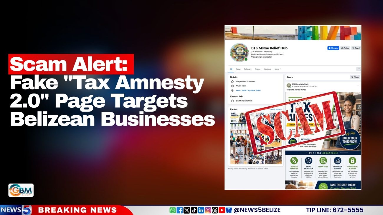 Fake "Tax Amnesty 2.0" Page Targets Belizean Businesses