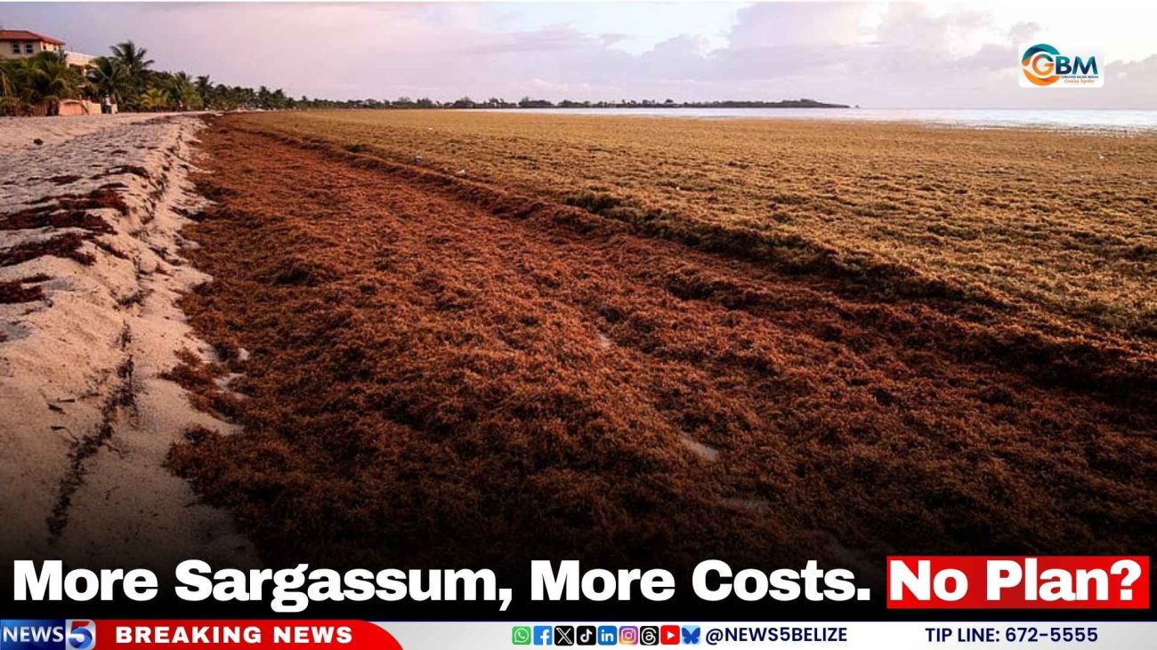 More Sargassum, More Costs. No Plan?