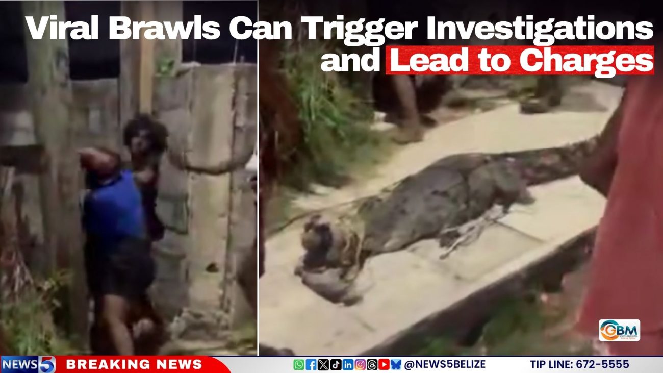 Viral Brawls Can Trigger Investigations and Lead to Charges