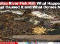 Belize River Fish Kill: What Happened, What Caused It and What Comes Next