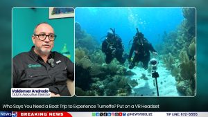 Who Says You Need a Boat Trip to Experience Turneffe? Put on a VR Headset