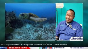 Who Says You Need a Boat Trip to Experience Turneffe? Put on a VR Headset