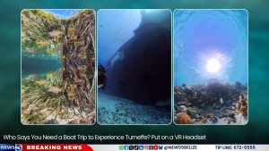 Who Says You Need a Boat Trip to Experience Turneffe? Put on a VR Headset
