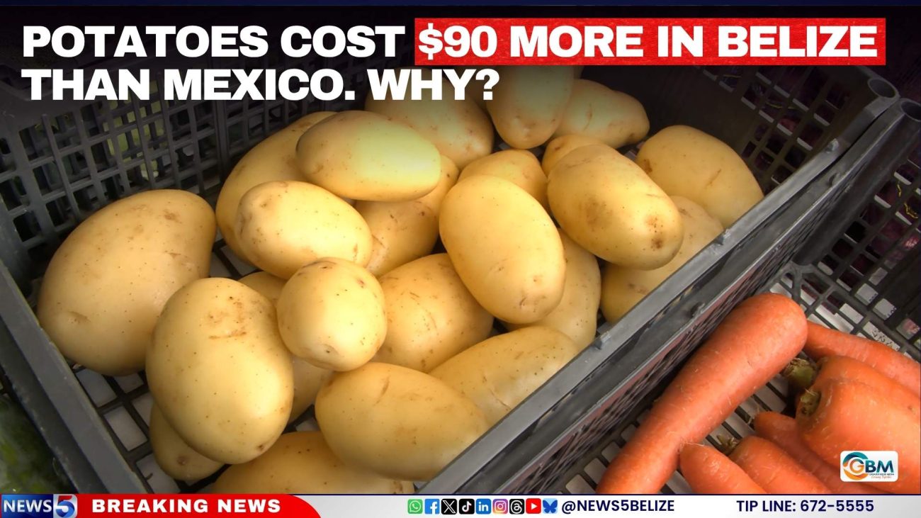 Potatoes Cost $90 More in Belize Than Mexico. Why?