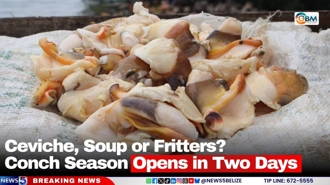 Ceviche, Soup or Fritters? Conch Season Opens in Two Days