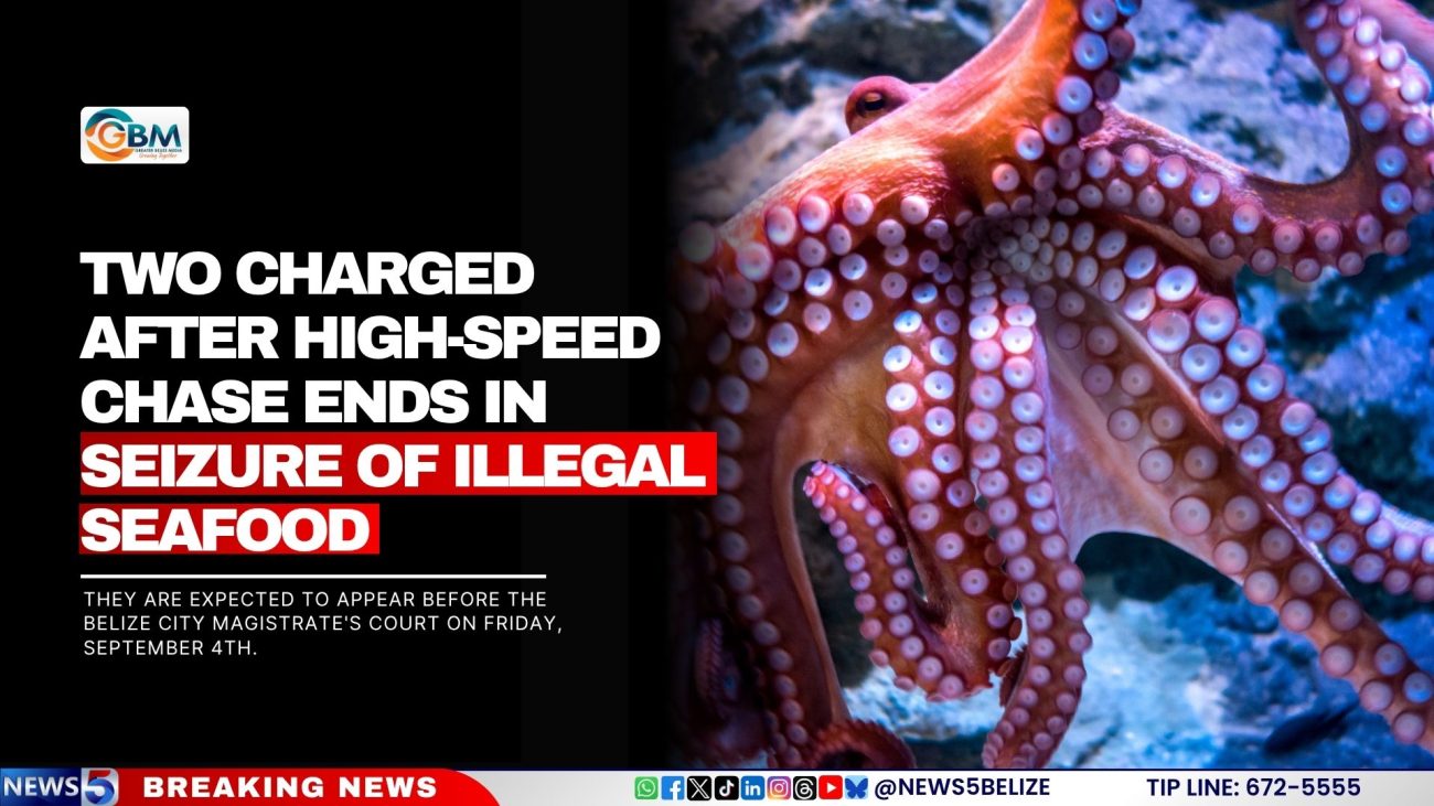 Two Charged After High-Speed Chase Ends in Seizure of Illegal Seafood