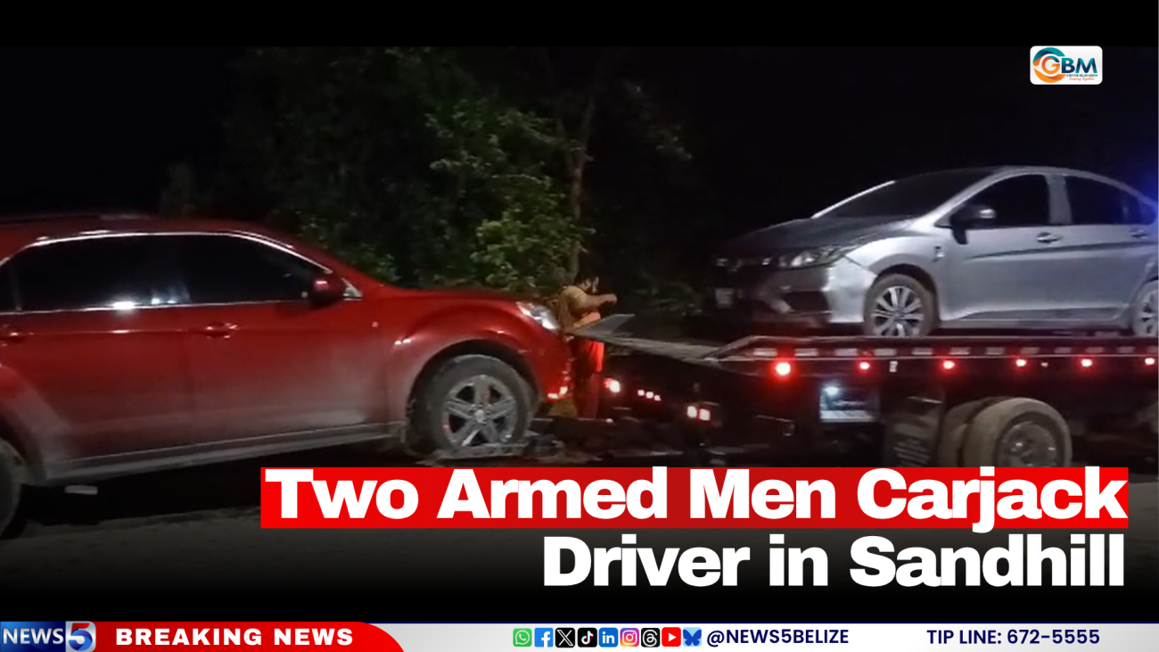 Two Armed Men Carjack Driver in Sandhill