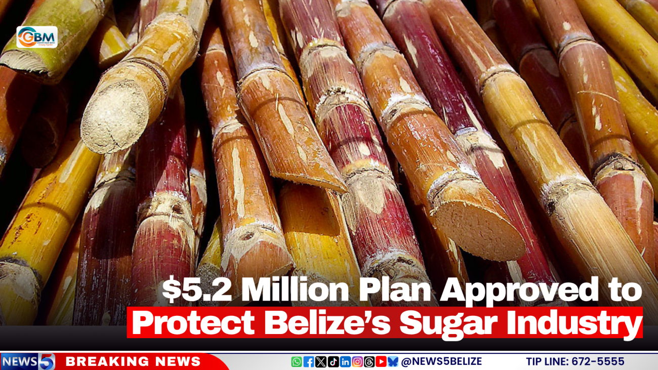 $5.2 Million Plan Approved to Protect Belize’s Sugar Industry