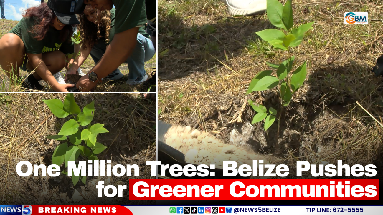 One Million Trees: Belize Pushes for Greener Communities