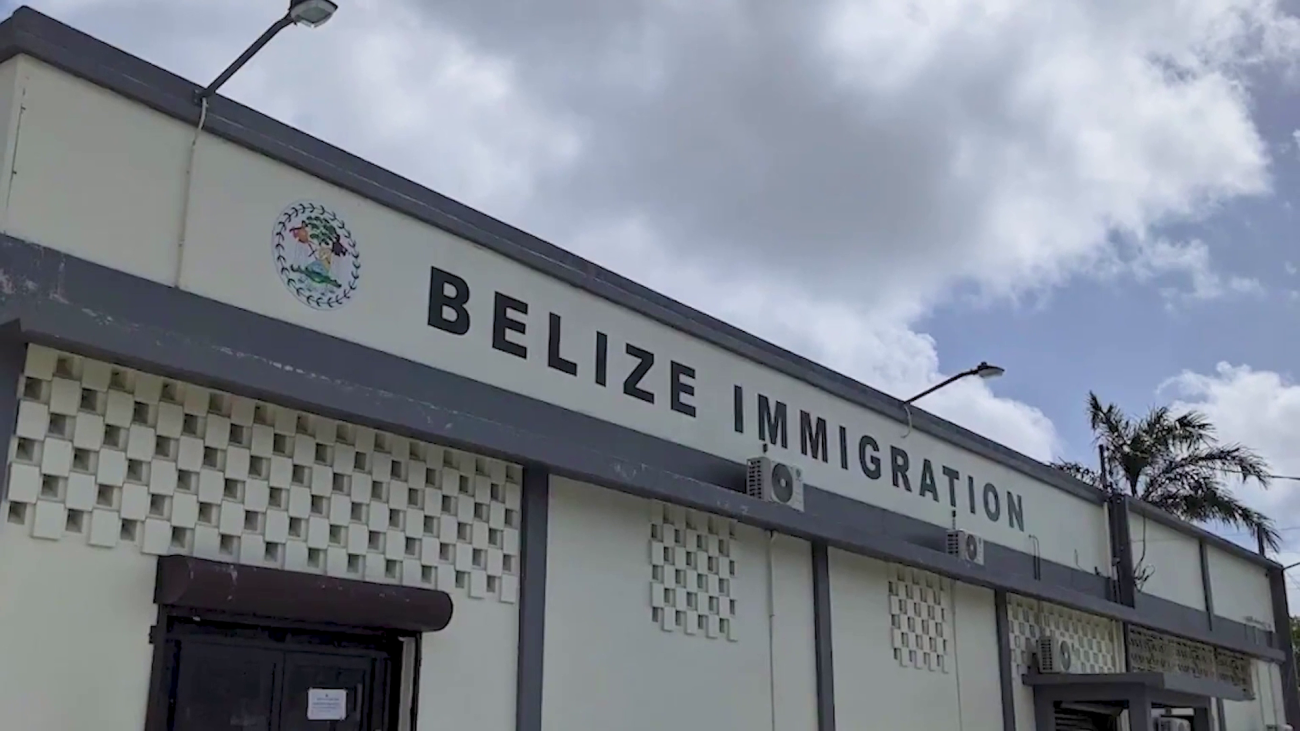 Missing Immigration Money Trail Leads to Treasury
