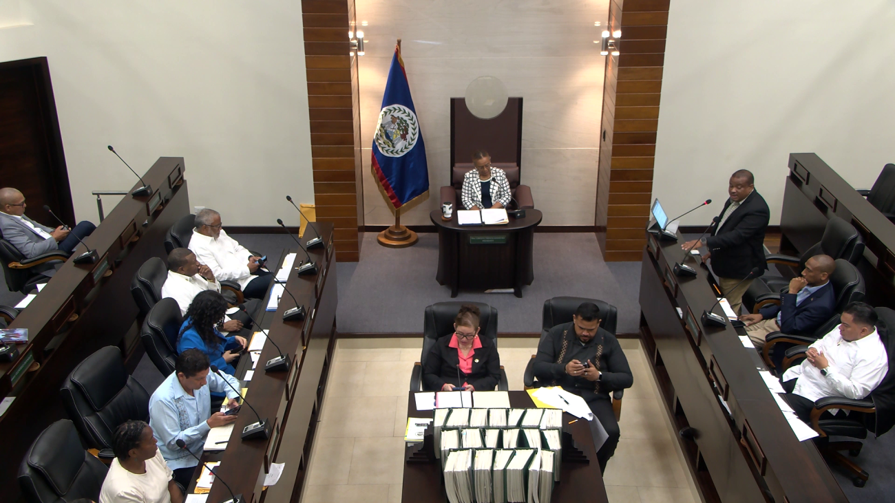 Dennison Rallies Senators Against Revenue Authority Bill