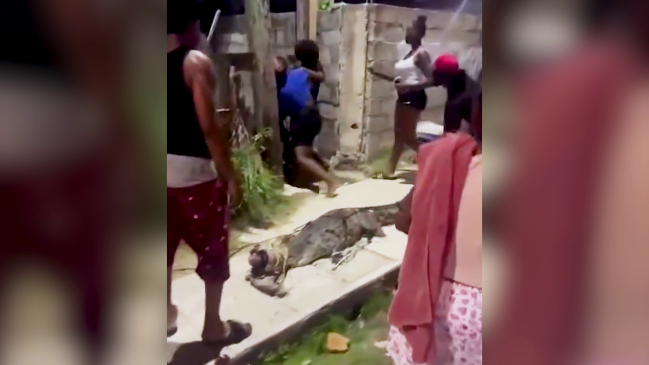 Violence Goes Viral, but Who Is Paying the Price?