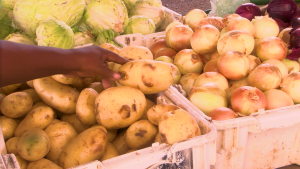 Voice of: Market Vendor #1