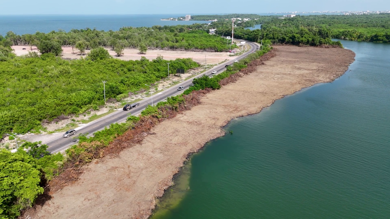 Extensive Riverbank Clearing Raises Erosion Fears, DOE Investigates