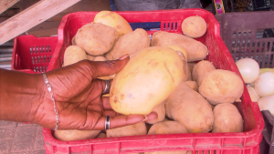 Voice of: Market Vendor