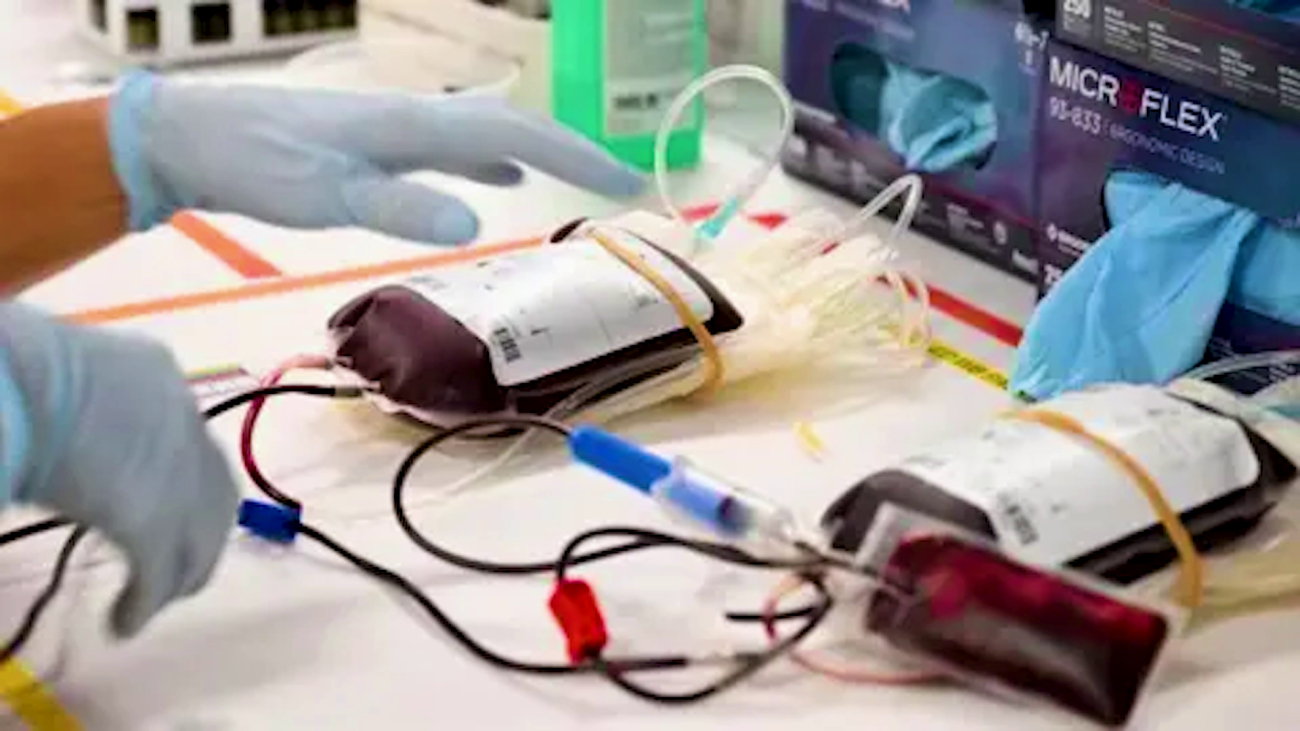 Jehovah’s Witnesses Ease Blood Transfusion Rules