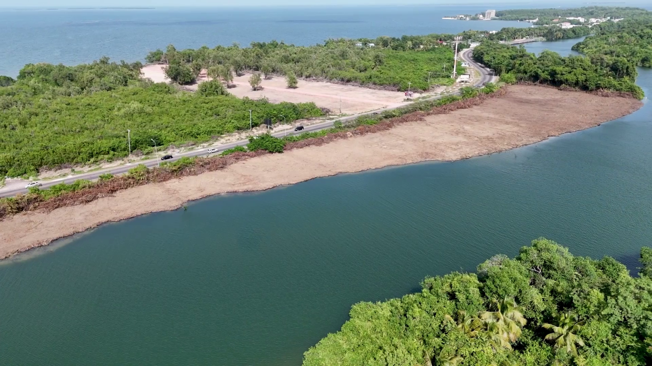 Shoreline Titles Complicate Environmental Enforcement