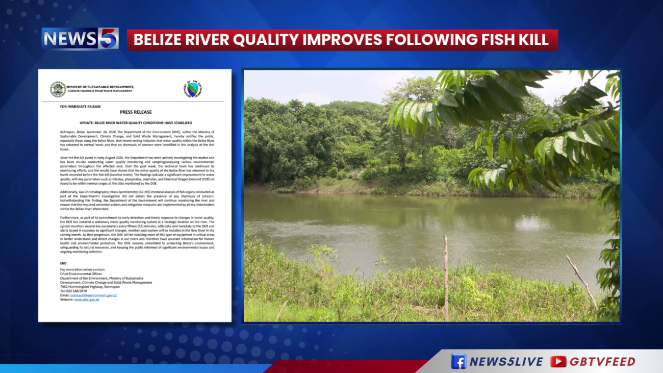 Belize River Recovers After Massive Fish Kill
