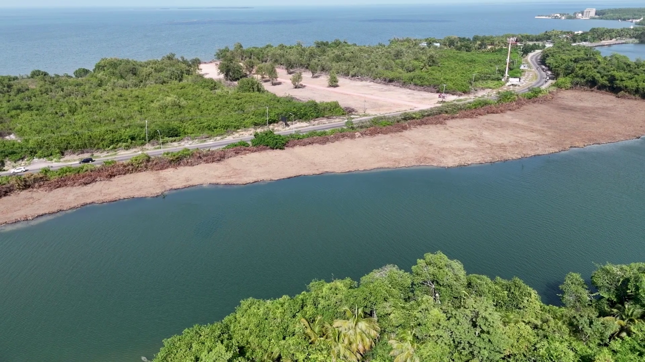 Galvez Warns That Clearing Riverbanks Threatens Freshwater Ecosystem