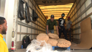 Cayo Wholesaler