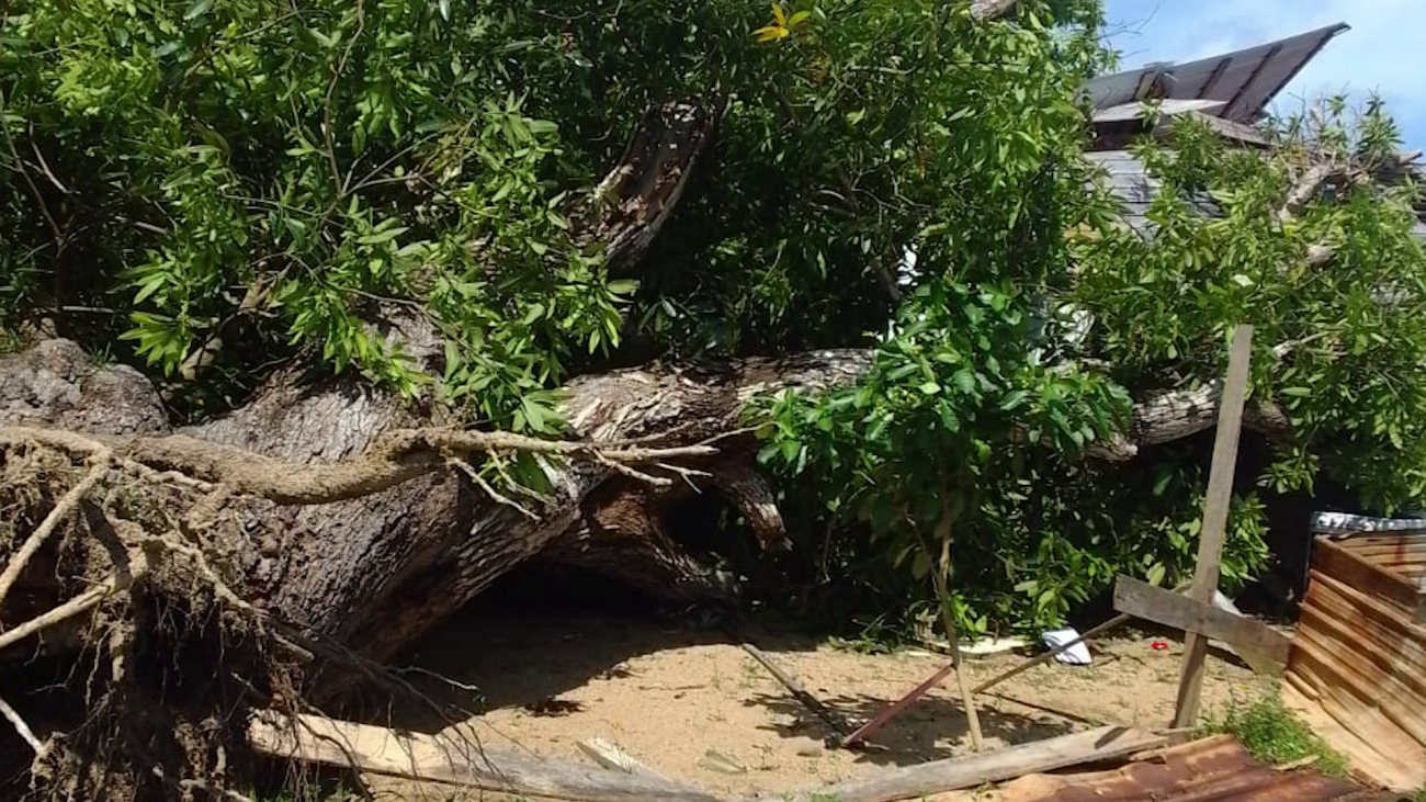 Grandmother Saves Children from Collapsing Home