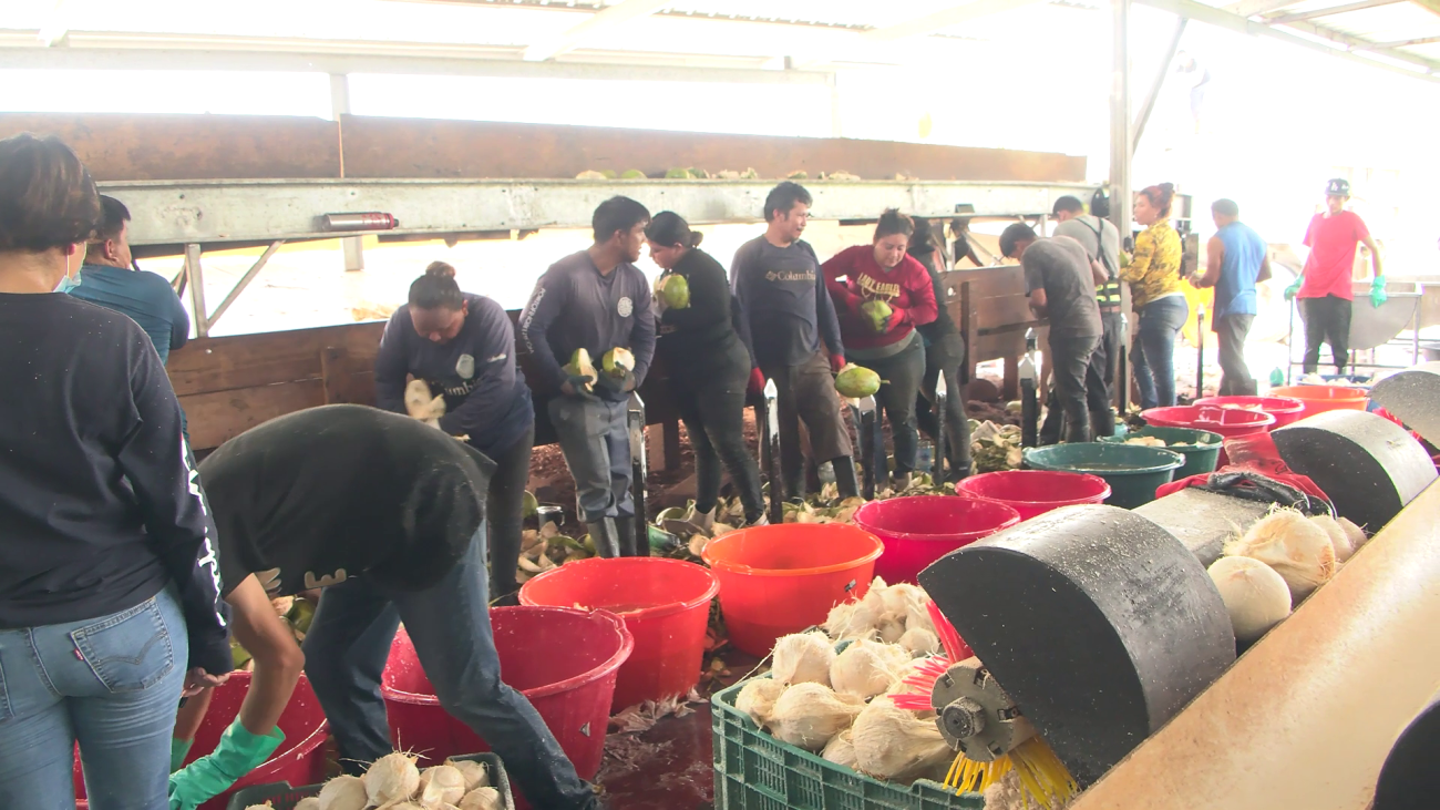 A Look Inside BMDC’s Profitable Produce Operation