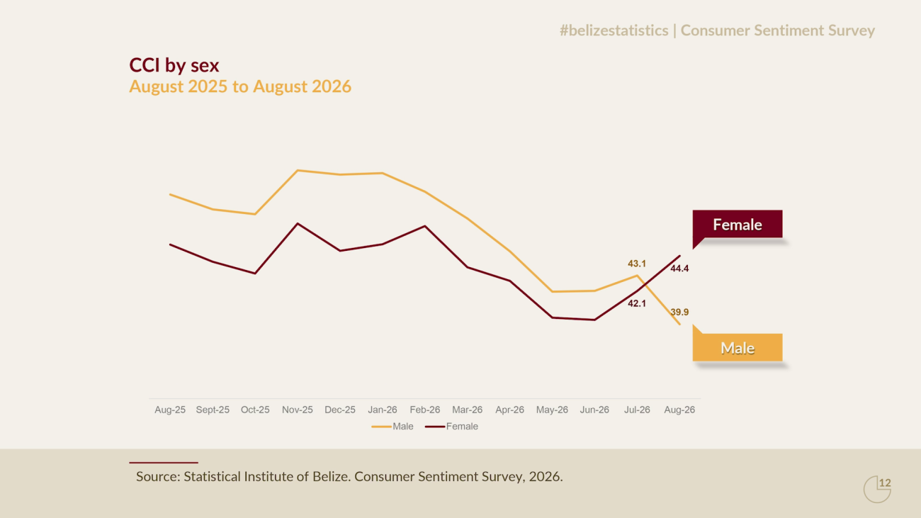 Consumer Confidence Falls Amid Economic Concerns