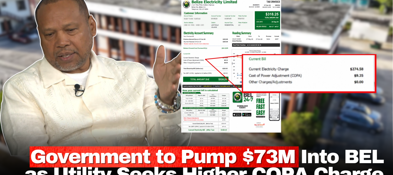 Government to Pump $73M Into BEL as Utility Seeks Higher COPA Charge