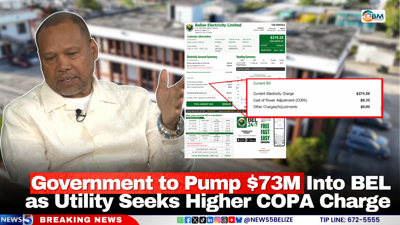 Government to Pump $73M Into BEL as Utility Seeks Higher COPA Charge