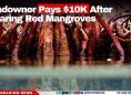 Landowner Pays $10K After Clearing Red Mangroves