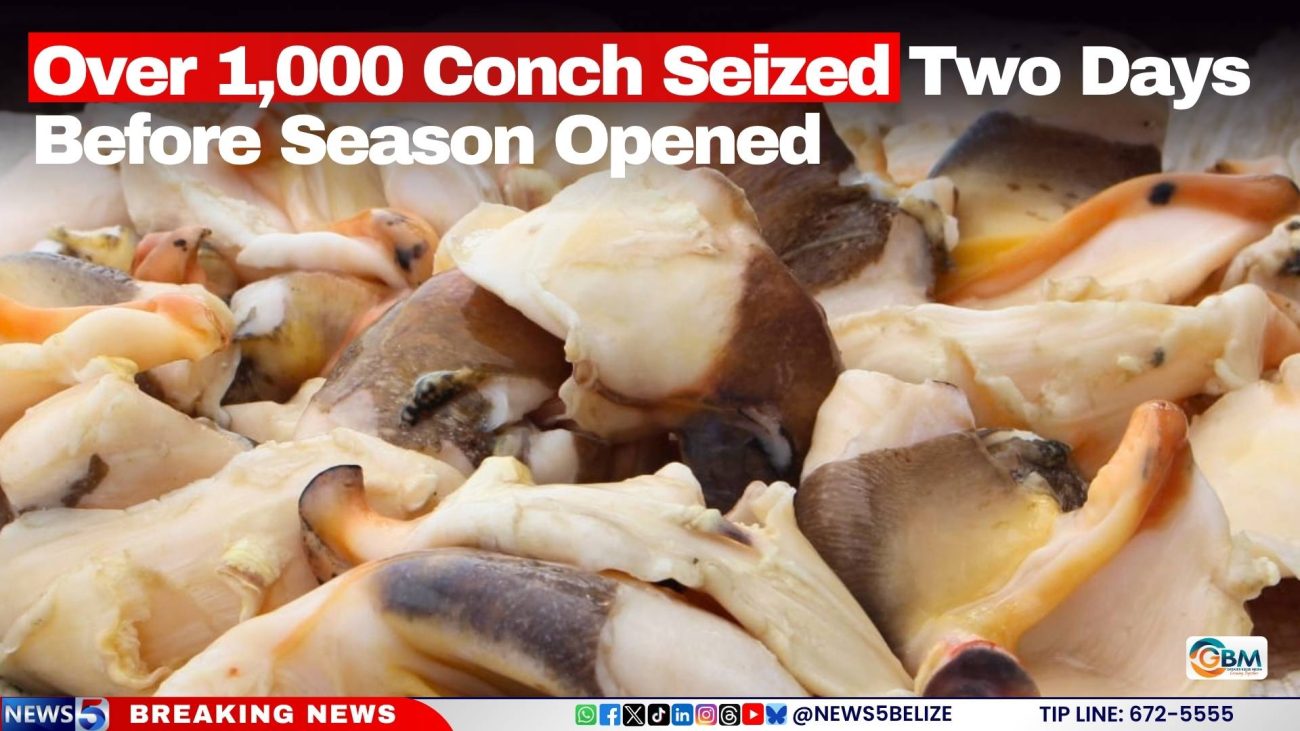 60+ Coconut Farmers Trained to Spot and Stop Crop Threats. Your District Is Next?