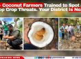 60+ Coconut Farmers Trained to Spot and Stop Crop Threats. Your District Is Next?