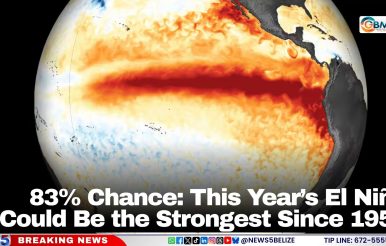 83% Chance: This Year’s El Niño Could Be the Strongest Since 1950