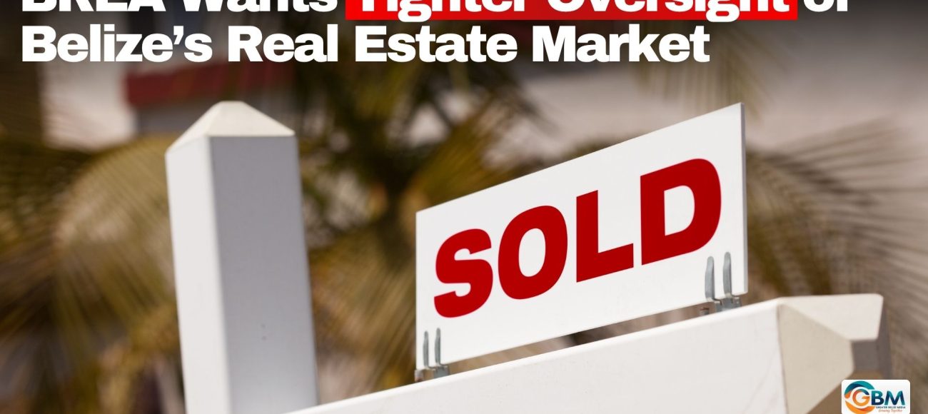BREA Wants Tighter Oversight of Belize’s Real Estate Market