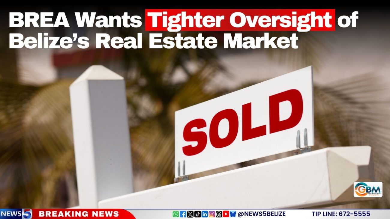 BREA Wants Tighter Oversight of Belize’s Real Estate Market