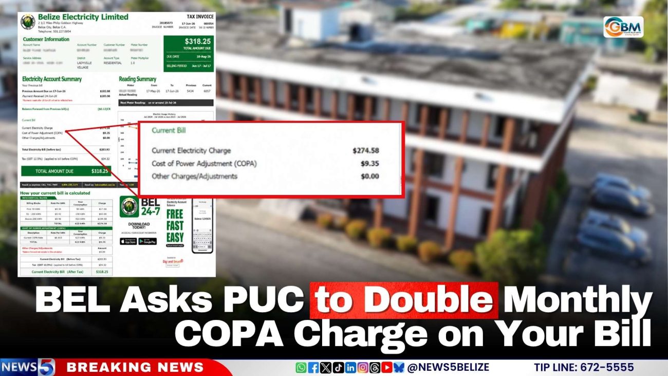 BEL Asks PUC to Double Monthly COPA Charge on Your Bill