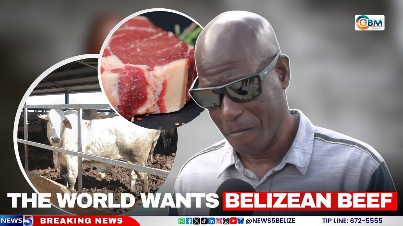 The World Wants Belizean Beef