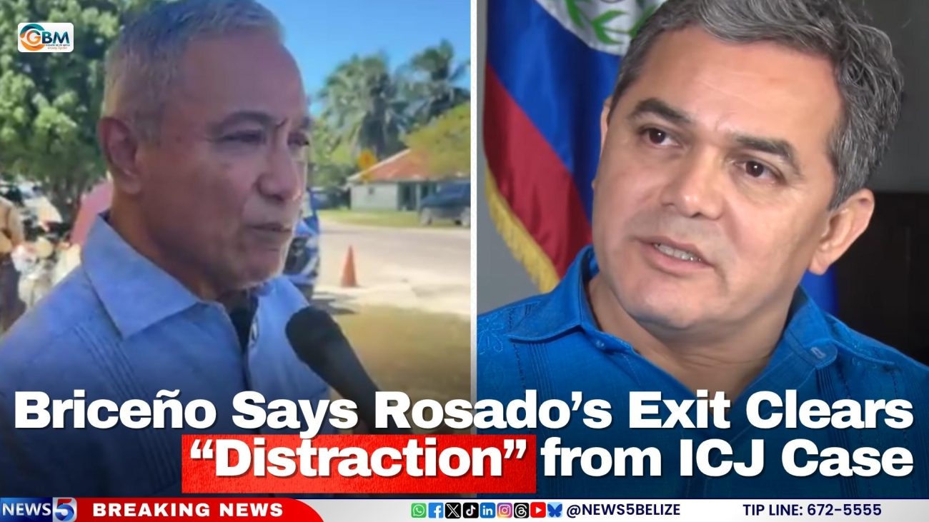 Briceño Says Rosado’s Exit Clears “Distraction” from ICJ Case