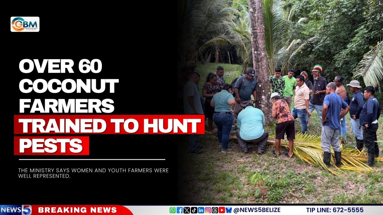Over 60 Coconut Farmers Trained to Hunt Pests