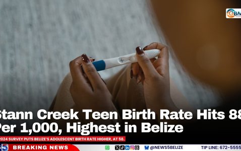 Stann Creek Teen Birth Rate Hits 88 Per 1,000, Highest in Belize