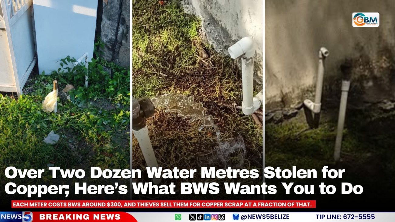 Over Two Dozen Water Metres Stolen for Copper; Here’s What BWS Wants You to Do