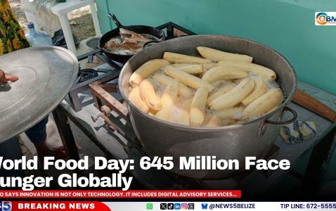 World Food Day: 645 Million Face Hunger Globally