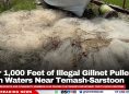 Over 1,000 Feet of Illegal Gillnet Pulled From Waters Near Temash-Sarstoon