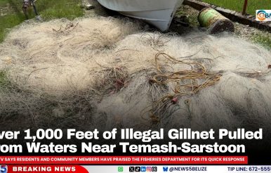 Over 1,000 Feet of Illegal Gillnet Pulled From Waters Near Temash-Sarstoon