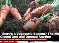 Wait, There’s a Vegetable Season? The Ministry Just Closed One and Opened Another