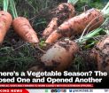 Wait, There’s a Vegetable Season? The Ministry Just Closed One and Opened Another